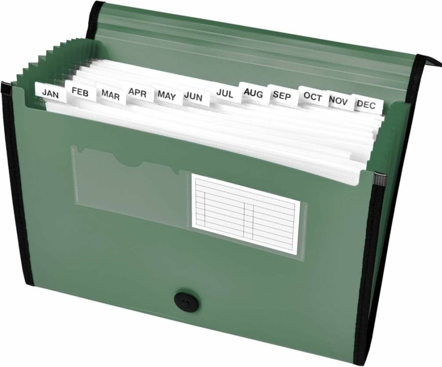 Avery 73555 13-Pocket Expanding File Folder Organizer, Sage Green, Holds 425 Letter/A4 Sheets, Accordion Document Organizer